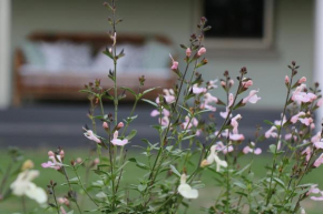 Serendipity on Allyn, Allynbrook